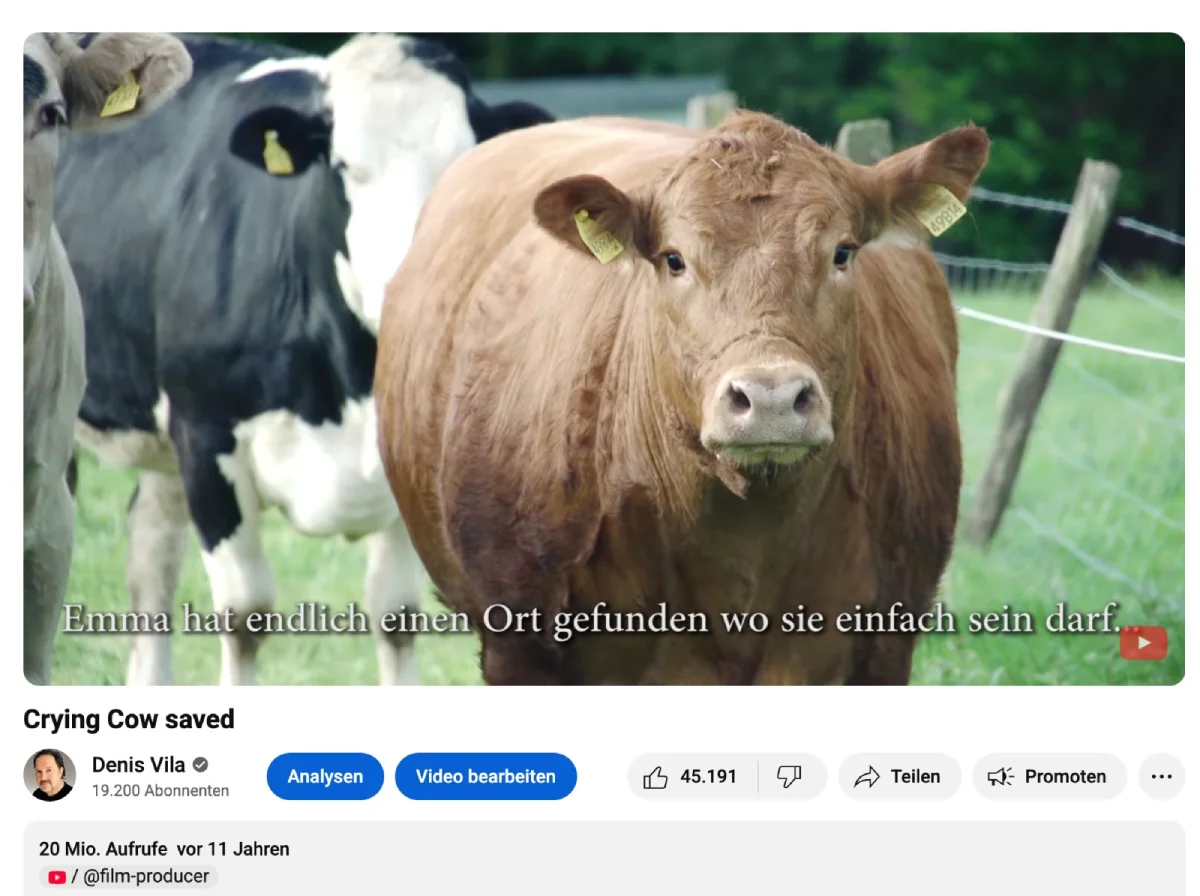 Ein YouTube-Film über die weinende Kuh Emma.